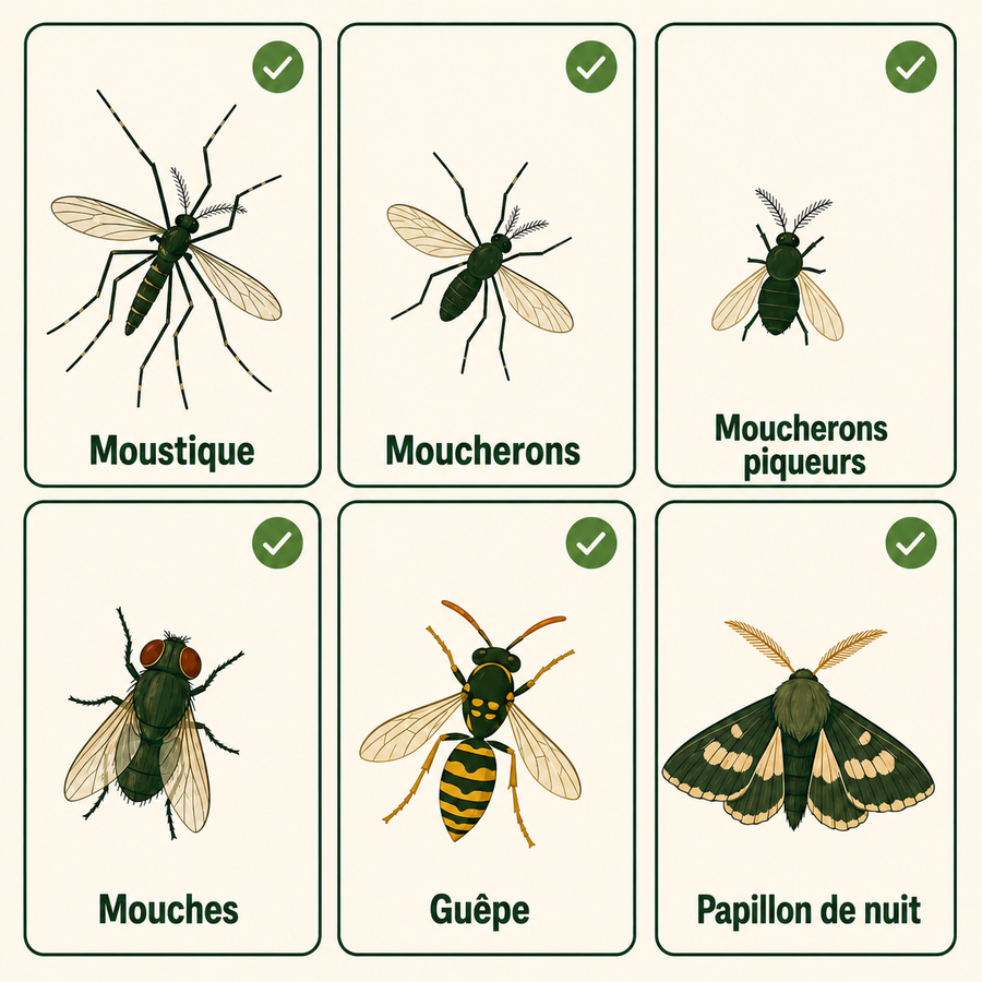Elle ne fait pas que tuer les moustiques.
